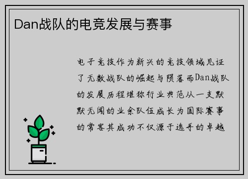 Dan战队的电竞发展与赛事