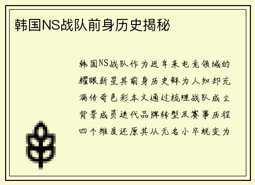 韩国NS战队前身历史揭秘